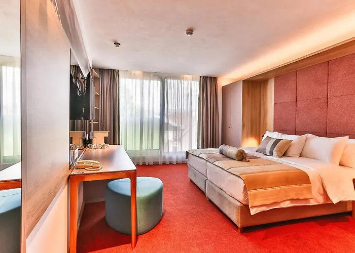 ホテル Carine Centar 4*